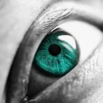 World Selective Blindless